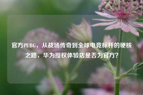 官方PUBG，从战场传奇到全球电竞标杆的硬核之路，华为授权体验店是否为官方？