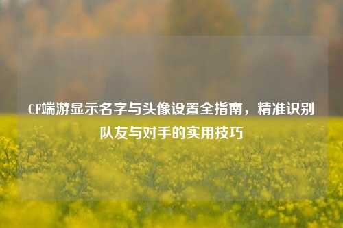 CF端游显示名字与头像设置全指南，精准识别队友与对手的实用技巧