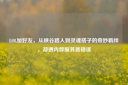 LOL加好友，从峡谷路人到灵魂搭子的奇妙羁绊，却遇内部服务器错误