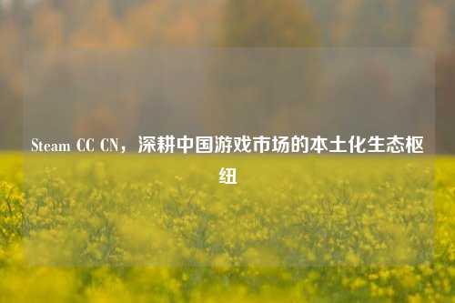 Steam CC CN，深耕中国游戏市场的本土化生态枢纽