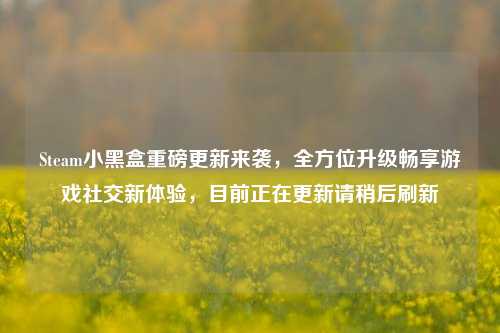 Steam小黑盒重磅更新来袭，全方位升级畅享游戏社交新体验，目前正在更新请稍后刷新