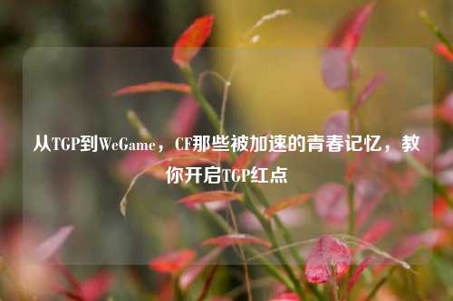 从TGP到WeGame，CF那些被加速的青春记忆，教你开启TGP红点