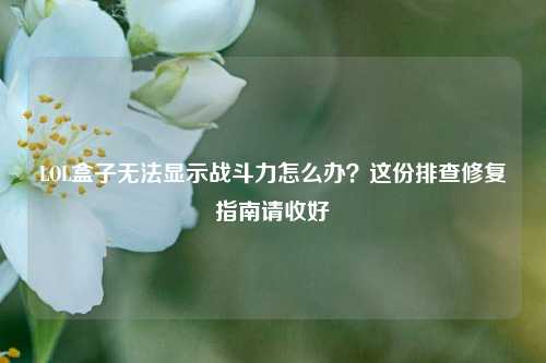 LOL盒子无法显示战斗力怎么办？这份排查修复指南请收好