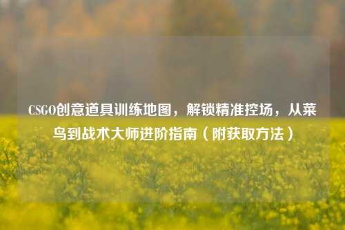CSGO创意道具训练地图，解锁精准控场，从菜鸟到战术大师进阶指南（附获取     ）
