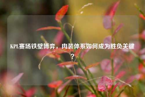 KPL赛场铁壁博弈，肉装体系如何成为胜负关键？