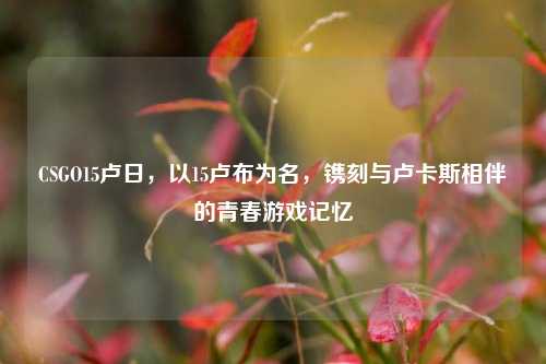 CSGO15卢日，以15卢布为名，镌刻与卢卡斯相伴的青春游戏记忆
