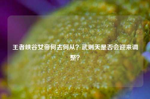 王者峡谷女帝何去何从？武则天是否会迎来调整？