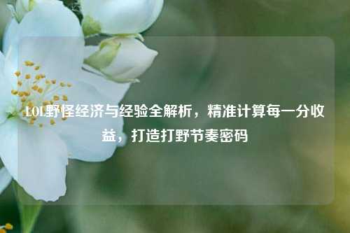 LOL野怪经济与经验全解析，精准计算每一分收益，打造打野节奏密码