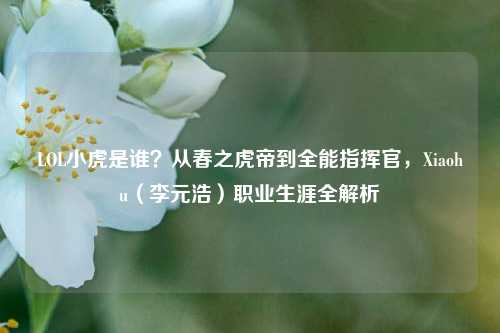 LOL小虎是谁？从春之虎帝到全能指挥官，Xiaohu（李元浩）职业生涯全解析