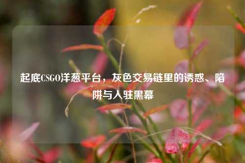 起底CSGO洋葱平台，灰色交易链里的诱惑、陷阱与入驻黑幕