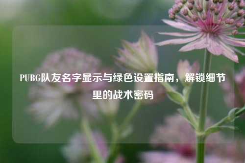 PUBG队友名字显示与绿色设置指南，解锁细节里的战术密码