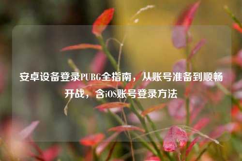 安卓设备登录PUBG全指南，从账号准备到顺畅开战，含iOS账号登录     