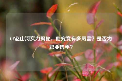 CF赵山河实力揭秘，他究竟有多厉害？是否为职业选手？