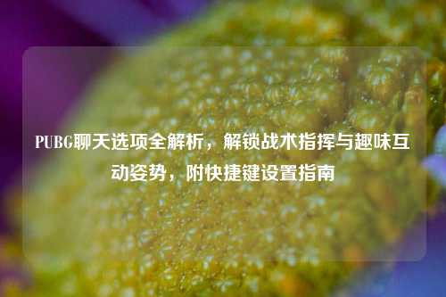 PUBG聊天选项全解析，解锁战术指挥与趣味互动姿势，附快捷键设置指南