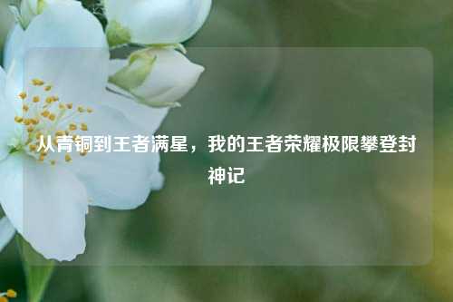 从青铜到王者满星，我的王者荣耀极限攀登封神记