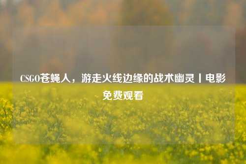 CSGO苍蝇人，游走火线边缘的战术幽灵丨电影免费观看