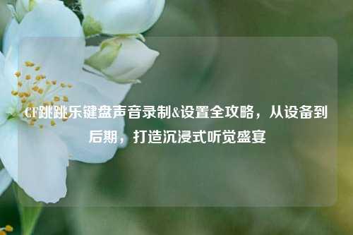 CF跳跳乐键盘声音录制&设置全攻略，从设备到后期，打造沉浸式听觉盛宴