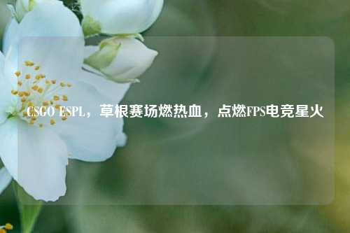 CSGO ESPL，草根赛场燃热血，点燃FPS电竞星火