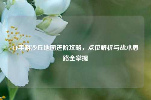 CF手游沙丘地图进阶攻略，点位解析与战术思路全掌握