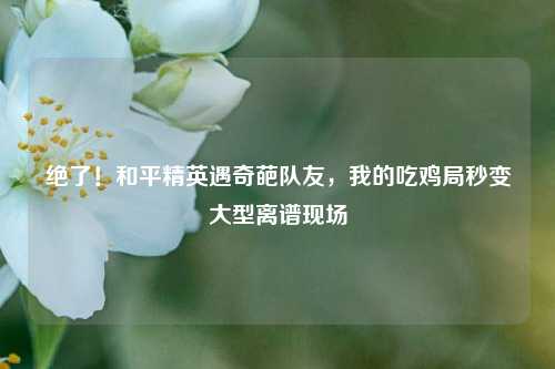 绝了！和平精英遇奇葩队友，我的吃鸡局秒变大型离谱现场
