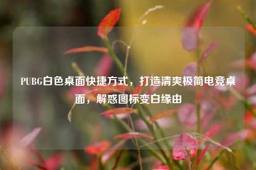 PUBG白色桌面快捷方式，打造清爽极简电竞桌面，解惑图标变白缘由