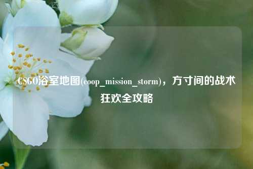 CSGO浴室地图(coop_mission_storm)，方寸间的战术狂欢全攻略