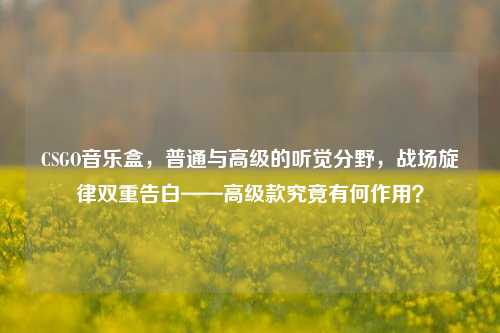 CSGO音乐盒，普通与高级的听觉分野，战场旋律双重告白——高级款究竟有何作用？