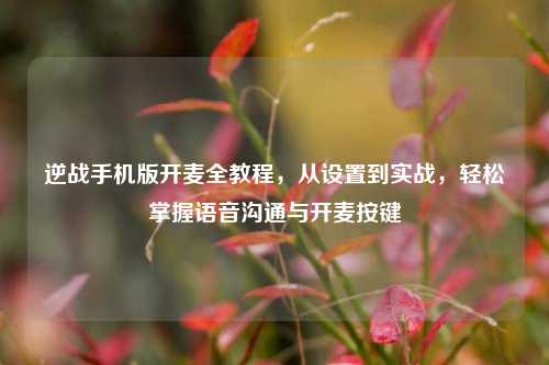 逆战手机版开麦全教程，从设置到实战，轻松掌握语音沟通与开麦按键