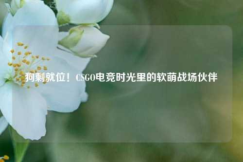狗剩就位！CSGO电竞时光里的软萌战场伙伴