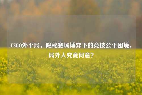 CSGO外平局，隐秘赛场博弈下的竞技公平困境，局外人究竟何意？