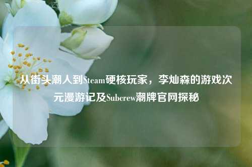 从街头潮人到Steam硬核玩家，李灿森的游戏次元漫游记及Subcrew潮牌官网探秘