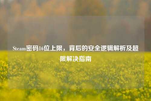 Steam密码16位上限，背后的安全逻辑解析及超限解决指南