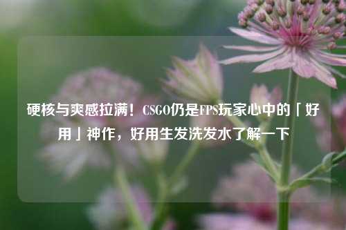 硬核与爽感拉满！CSGO仍是FPS玩家心中的「好用」神作，好用生发洗发水了解一下