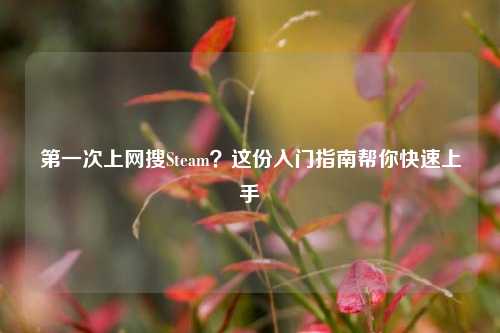 之一次上网搜Steam？这份入门指南帮你快速上手