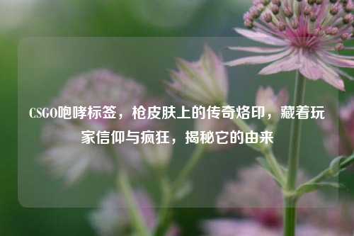 CSGO咆哮标签，枪皮肤上的传奇烙印，藏着玩家信仰与疯狂，揭秘它的由来