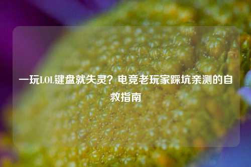 一玩LOL键盘就失灵？电竞老玩家踩坑亲测的自救指南