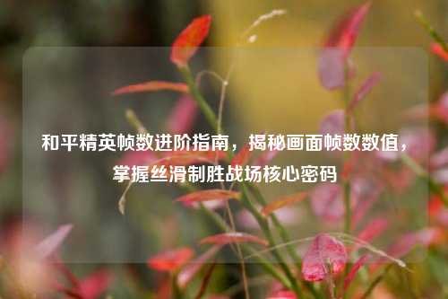 和平精英帧数进阶指南，揭秘画面帧数数值，掌握丝滑制胜战场核心密码