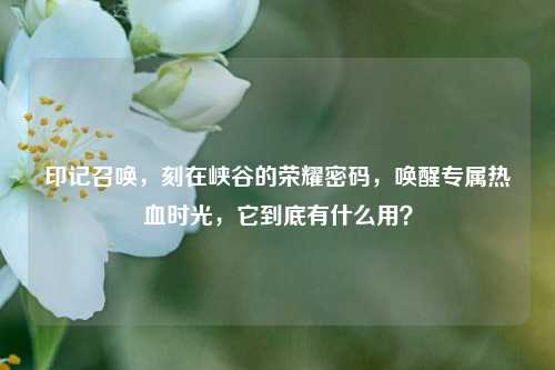 印记召唤，刻在峡谷的荣耀密码，唤醒专属热血时光，它到底有什么用？