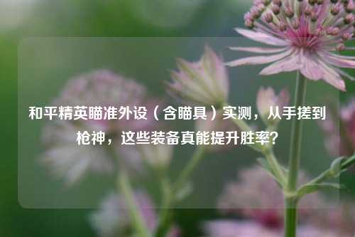 和平精英瞄准外设（含瞄具）实测，从手搓到枪神，这些装备真能提升胜率？