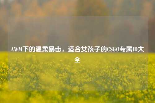 AWM下的温柔暴击，适合女孩子的CSGO专属ID大全
