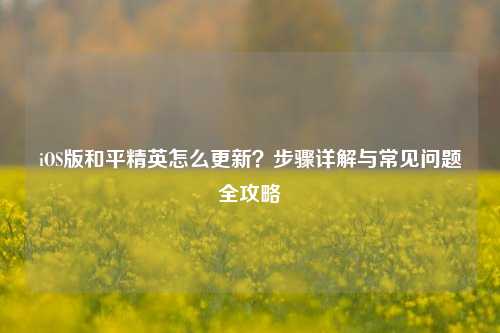 iOS版和平精英怎么更新？步骤详解与常见问题全攻略