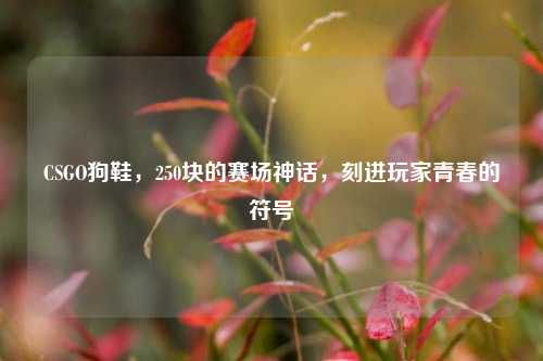 CSGO狗鞋，250块的赛场神话，刻进玩家青春的符号