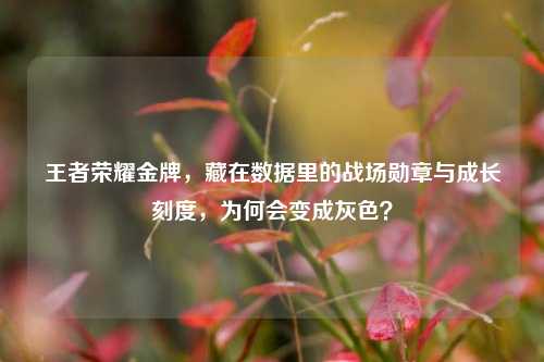 王者荣耀金牌，藏在数据里的战场勋章与成长刻度，为何会变成灰色？
