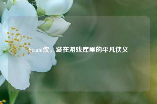 Steam侠，藏在游戏库里的平凡侠义