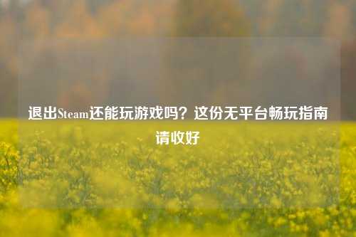 退出Steam还能玩游戏吗？这份无平台畅玩指南请收好
