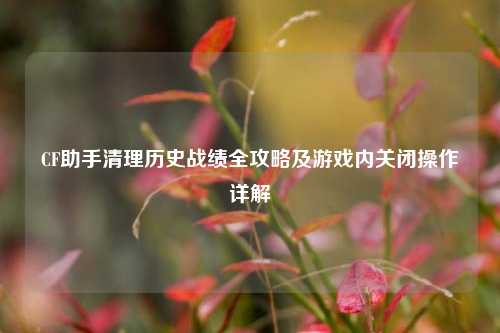 CF助手清理历史战绩全攻略及游戏内关闭操作详解