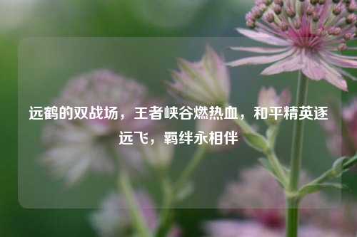 远鹤的双战场，王者峡谷燃热血，和平精英逐远飞，羁绊永相伴