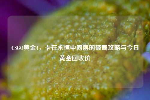 CSGO黄金4，卡在永恒中间层的破局攻略与今日黄金回收价