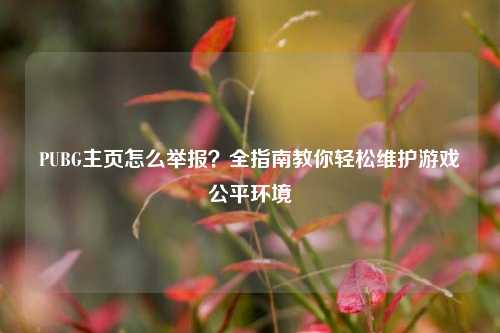 PUBG主页怎么举报？全指南教你轻松维护游戏公平环境