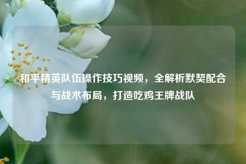 和平精英队伍操作技巧视频，全解析默契配合与战术布局，打造吃鸡王牌战队